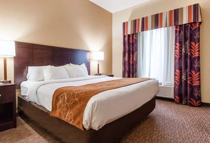 ホテル Comfort Suites