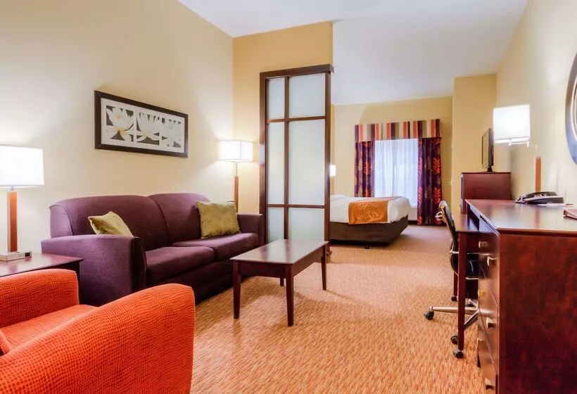 ホテル Comfort Suites