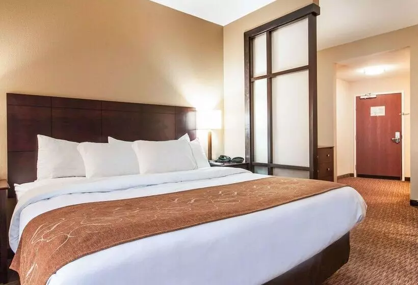 ホテル Comfort Suites