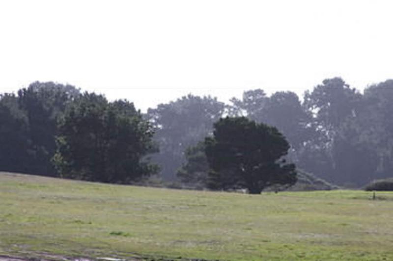 فندق Emerald Dolphin Inn & Mini Golf