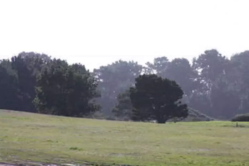 Отель Emerald Dolphin Inn & Mini Golf