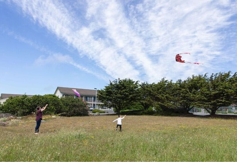 فندق Emerald Dolphin Inn & Mini Golf