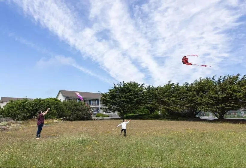 Отель Emerald Dolphin Inn & Mini Golf