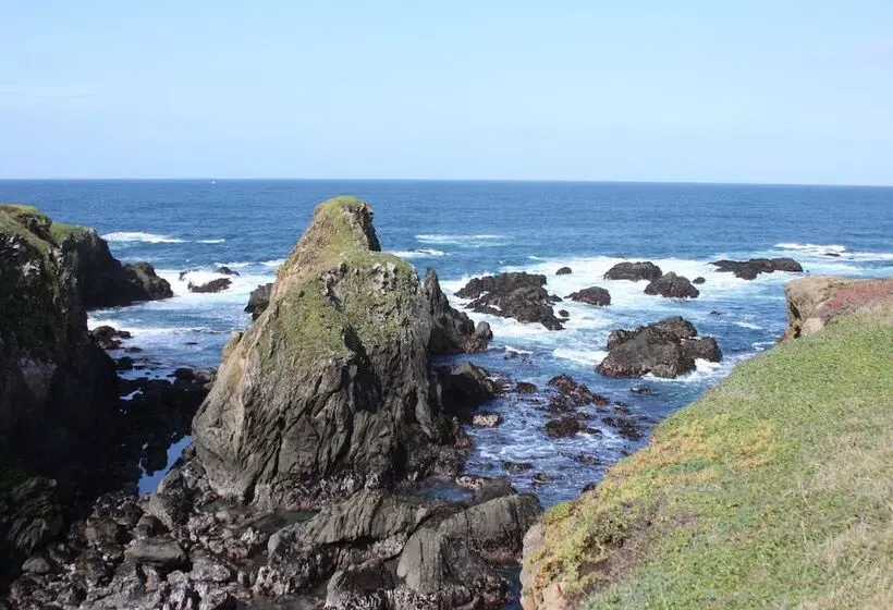 Отель Emerald Dolphin Inn & Mini Golf