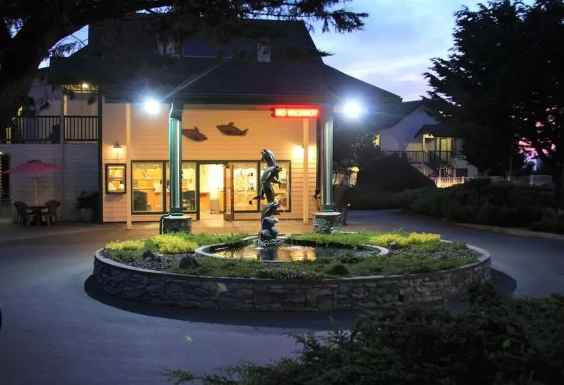 Отель Emerald Dolphin Inn & Mini Golf