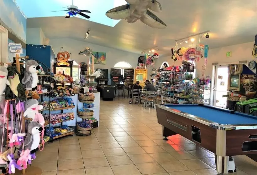 Отель Emerald Dolphin Inn & Mini Golf