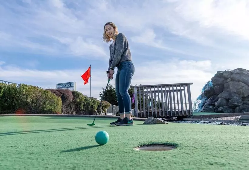 Отель Emerald Dolphin Inn & Mini Golf
