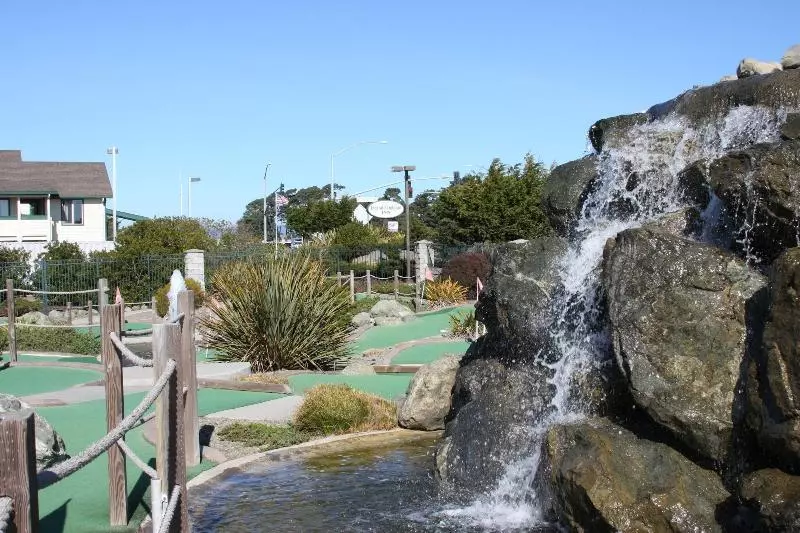 Отель Emerald Dolphin Inn & Mini Golf