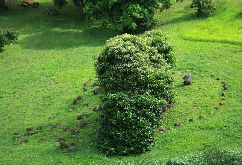 בית מלון כפרי Hawaii Island Retreat At Ahu Pohaku Ho`omaluhia