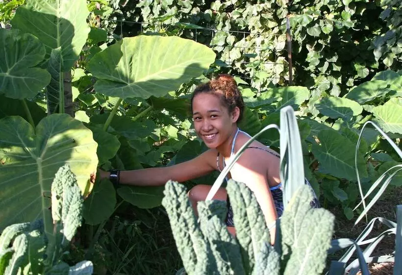 호텔 Hawaii Island Retreat At Ahu Pohaku Ho`omaluhia