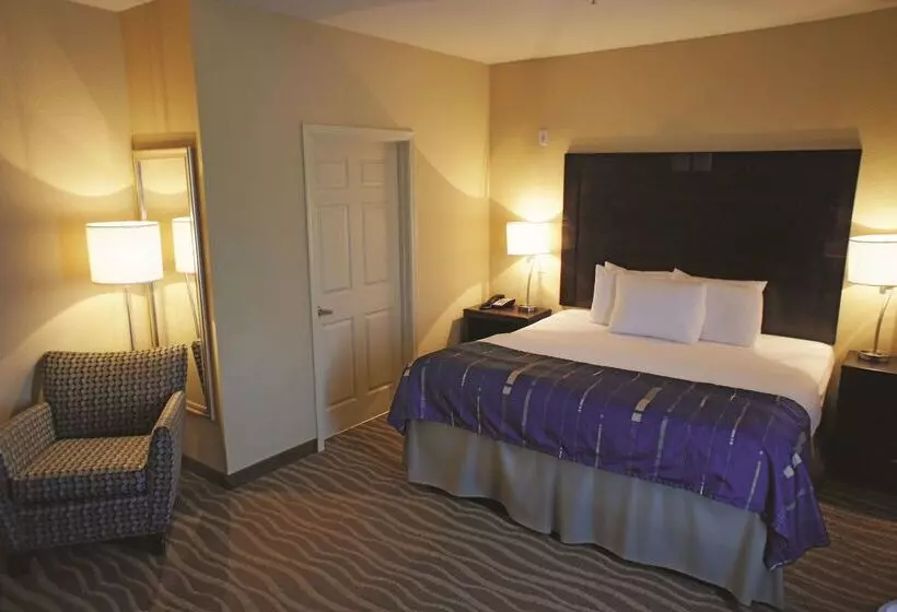 酒店 La Quinta Inn & Suites By Wyndham Hammond