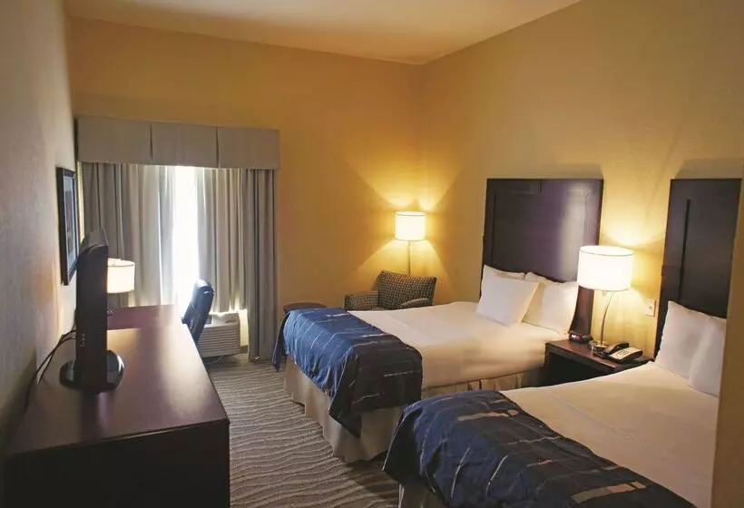 酒店 La Quinta Inn & Suites By Wyndham Hammond