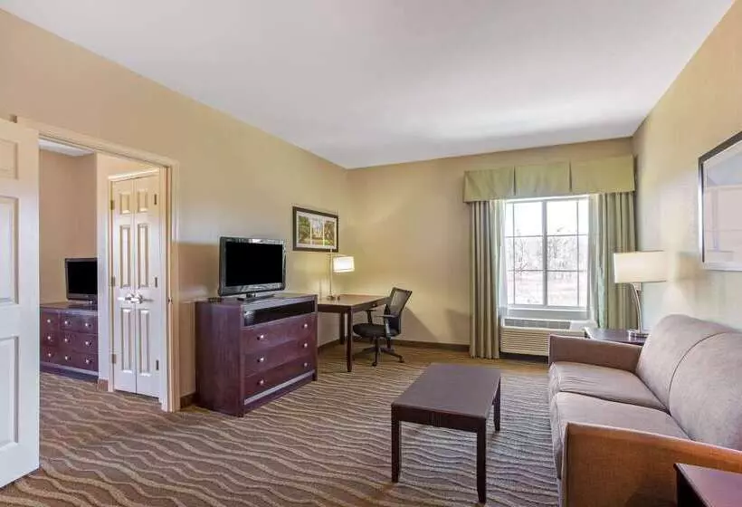 酒店 La Quinta Inn & Suites By Wyndham Hammond