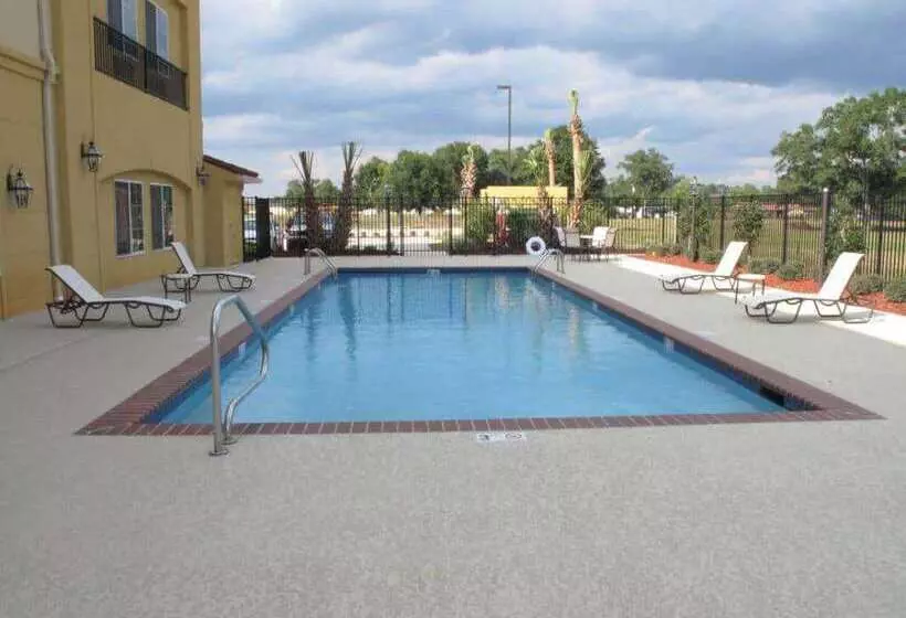 酒店 La Quinta Inn & Suites By Wyndham Hammond