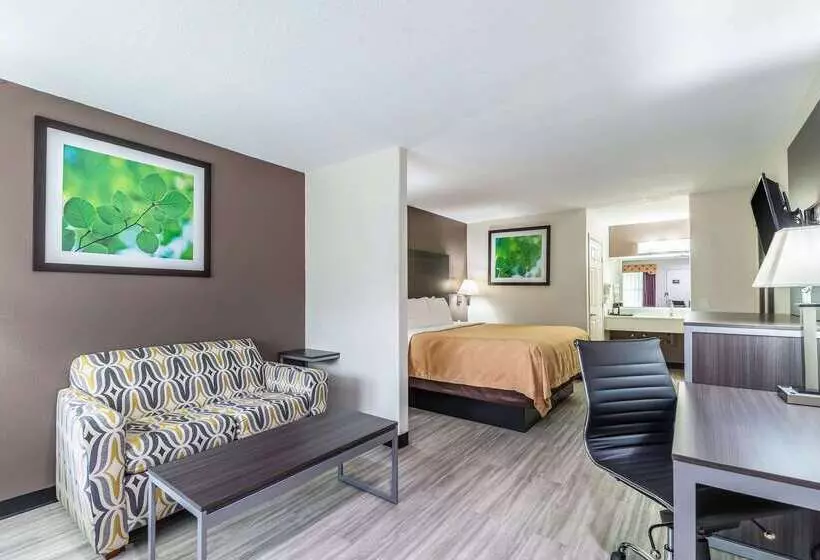 酒店 Quality Inn & Suites Canton