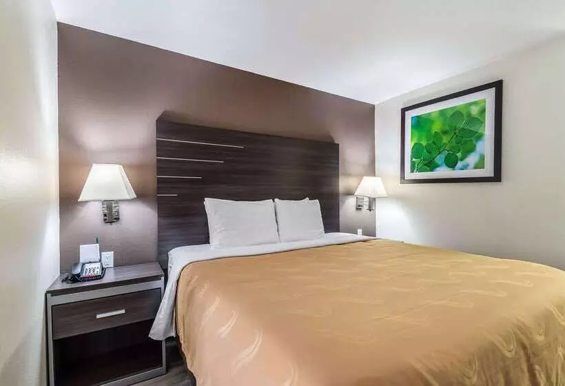 酒店 Quality Inn & Suites Canton