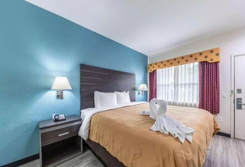 酒店 Quality Inn & Suites Canton