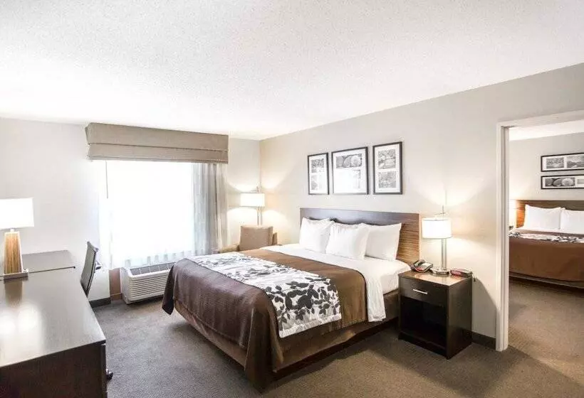 ホテル Sleep Inn & Suites Norton