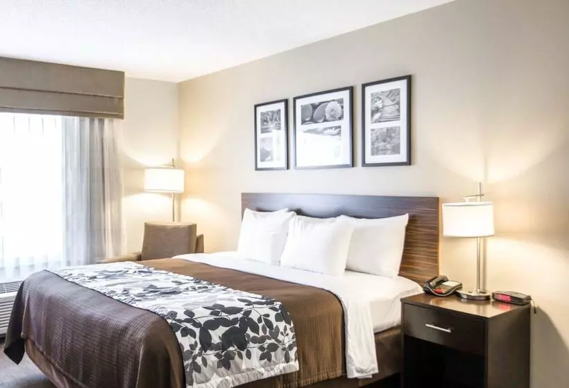 ホテル Sleep Inn & Suites Norton