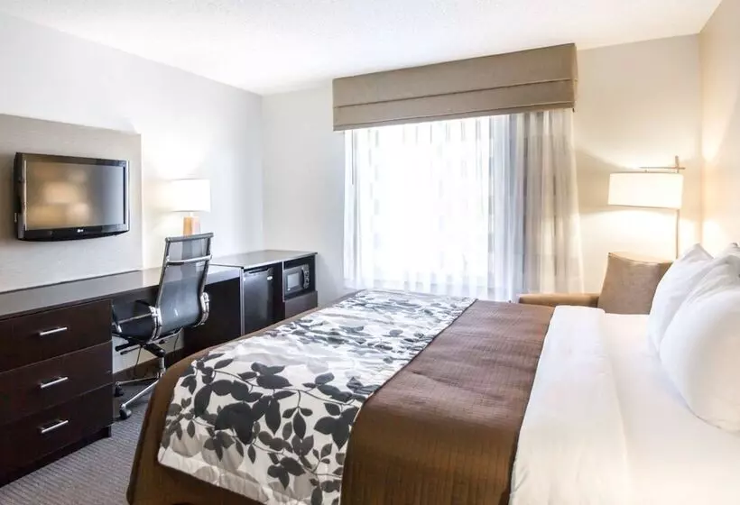 ホテル Sleep Inn & Suites Norton