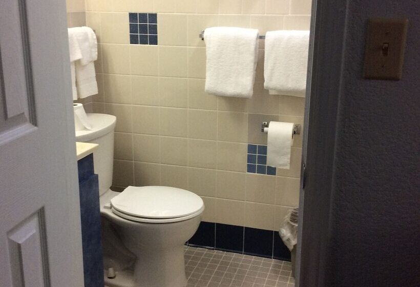 汽车旅馆 Regency Inn Comanche