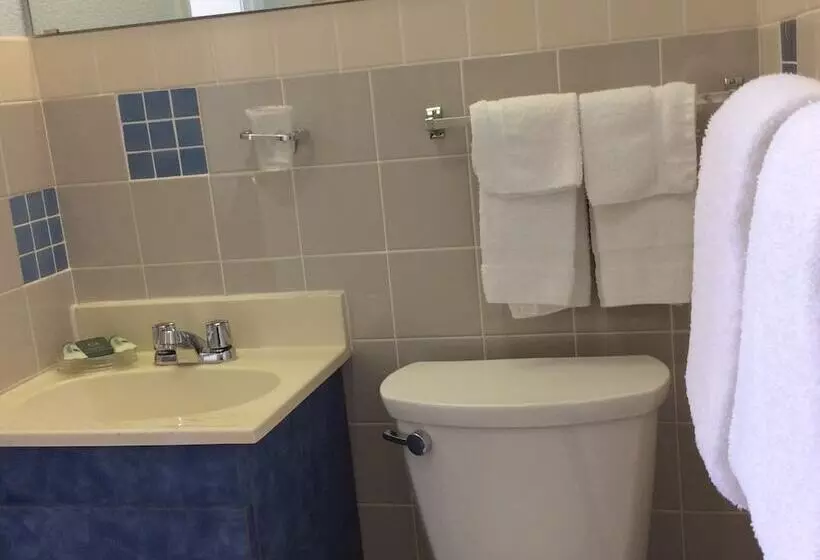 모텔 Regency Inn Comanche