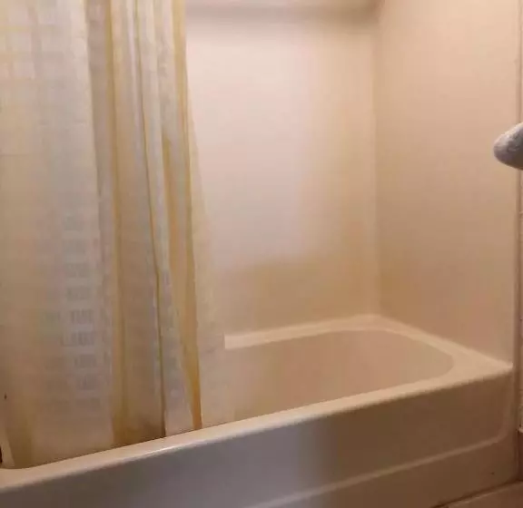 汽车旅馆  Royal Inn And Suites