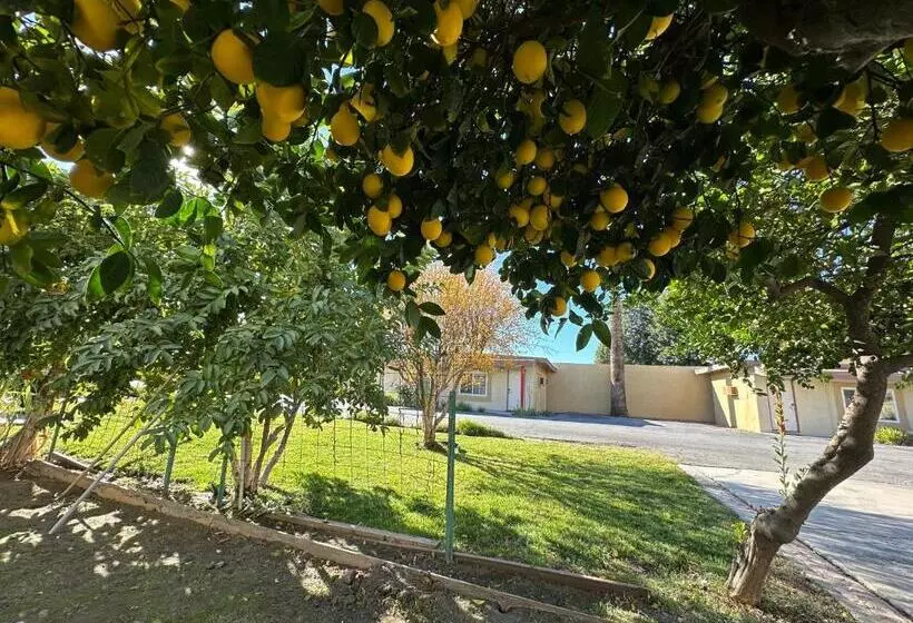 汽车旅馆  Royal Inn And Suites