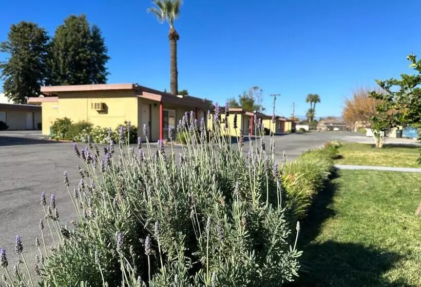 汽车旅馆  Royal Inn And Suites