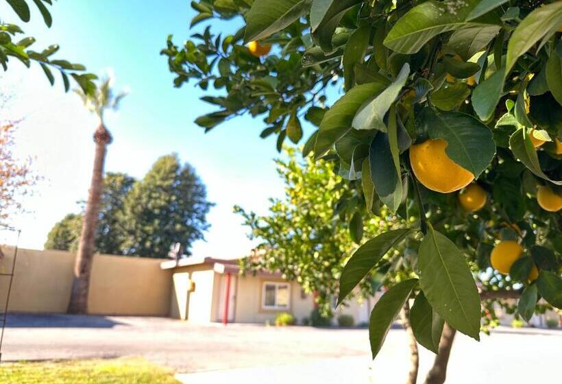 모텔 Royal Inn And Suites