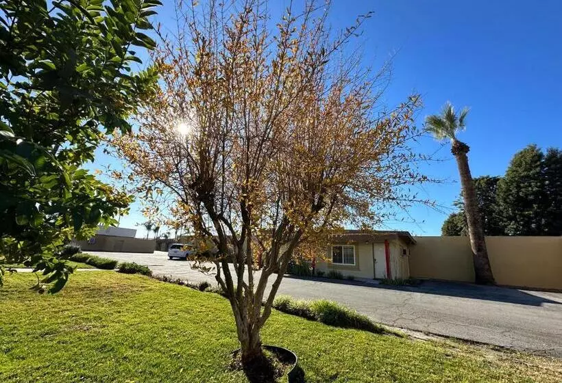 汽车旅馆  Royal Inn And Suites