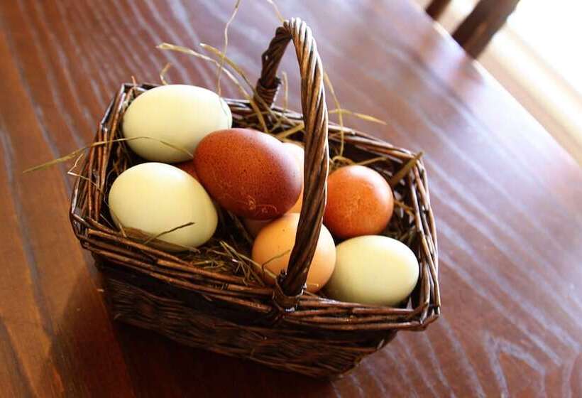 Southern Grace Bed & Breakfast