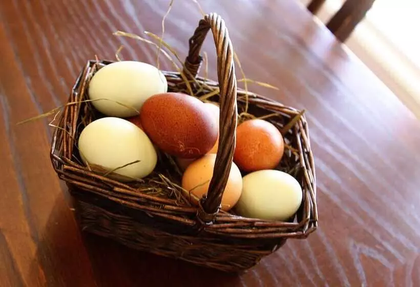 Southern Grace Bed & Breakfast