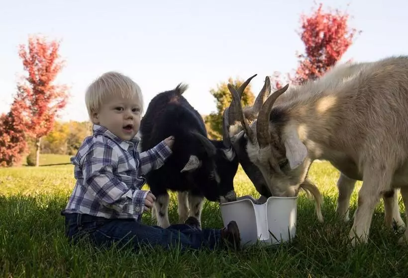 Southern Grace Bed & Breakfast