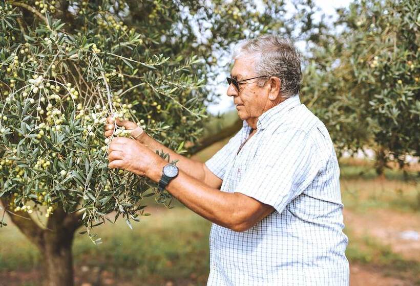 Agroturisme Son Barceló Mas