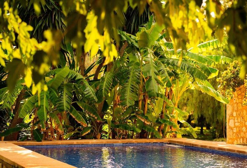 Agroturisme Son Barceló Mas