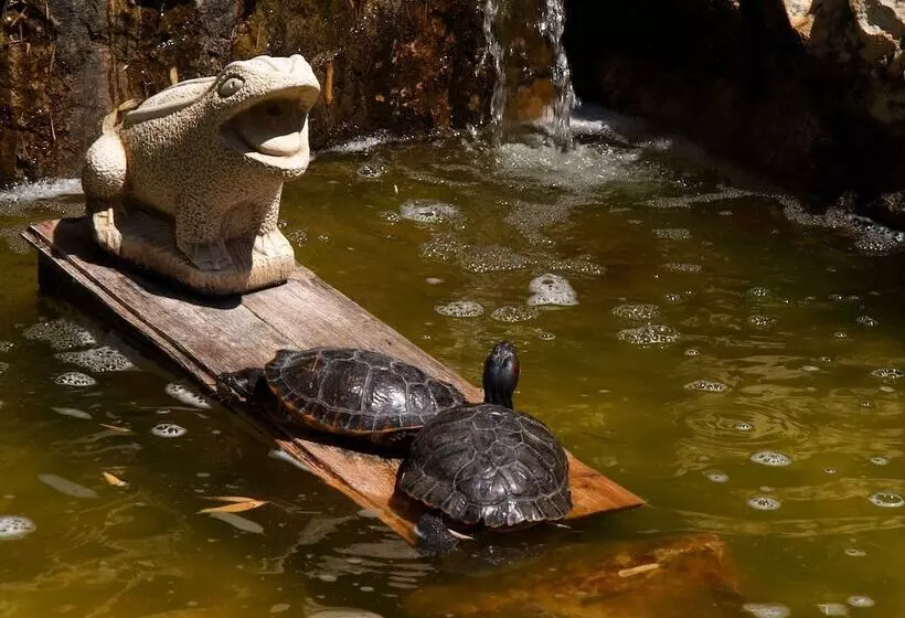 Vila Palmeira Beach Resort