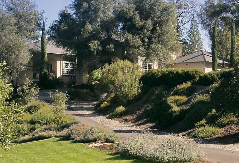 Bella Vista Bed And Breakfast