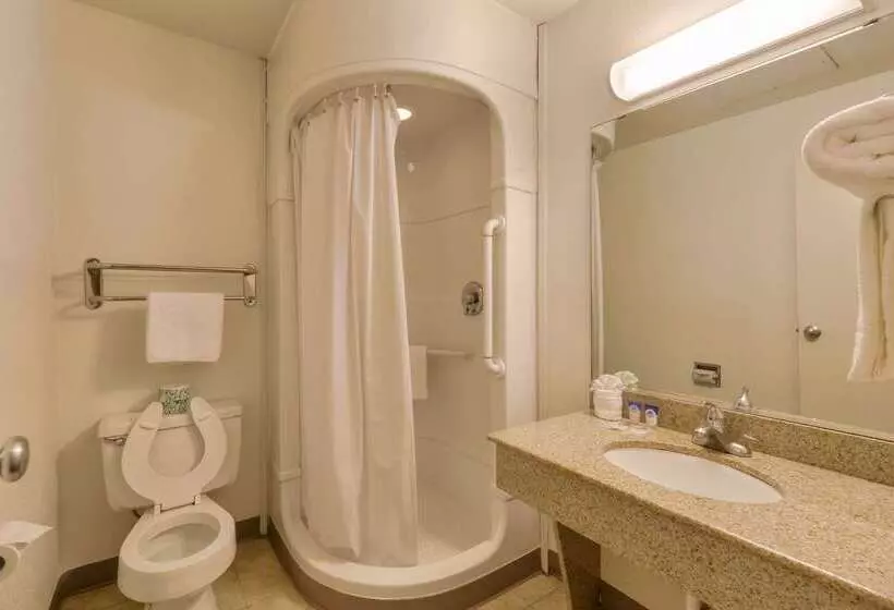 酒店 Americas Best Value Inn Amarillo Airport/grand Street