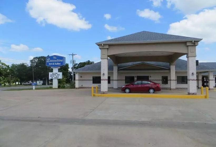 Отель Executive Inn & Suites West Columbia