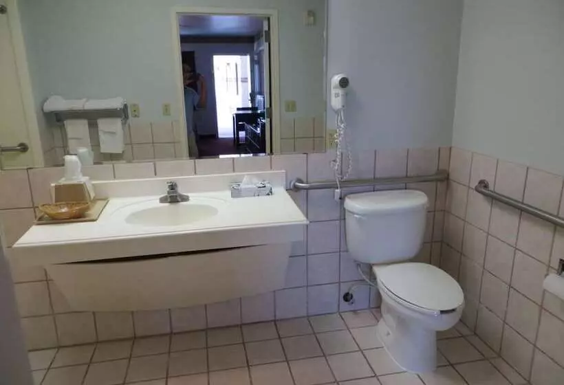 Отель Executive Inn & Suites West Columbia