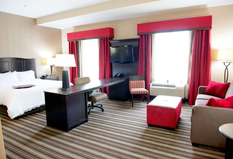 فندق Hampton Inn & Suites Hope