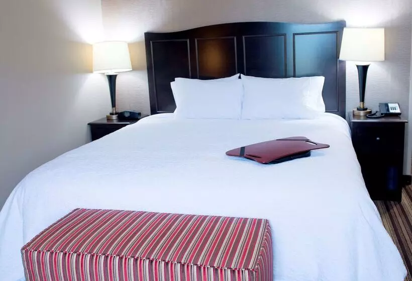 ホテル Hampton Inn & Suites Hope