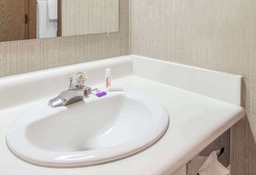 酒店 Knights Inn Dayton By Miller Lane