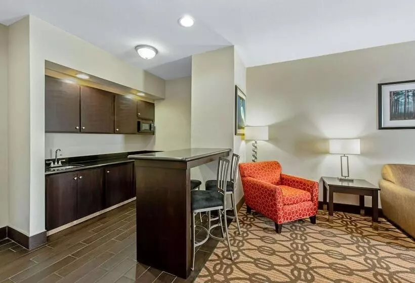 酒店 La Quinta By Wyndham Leesville Ft. Polk