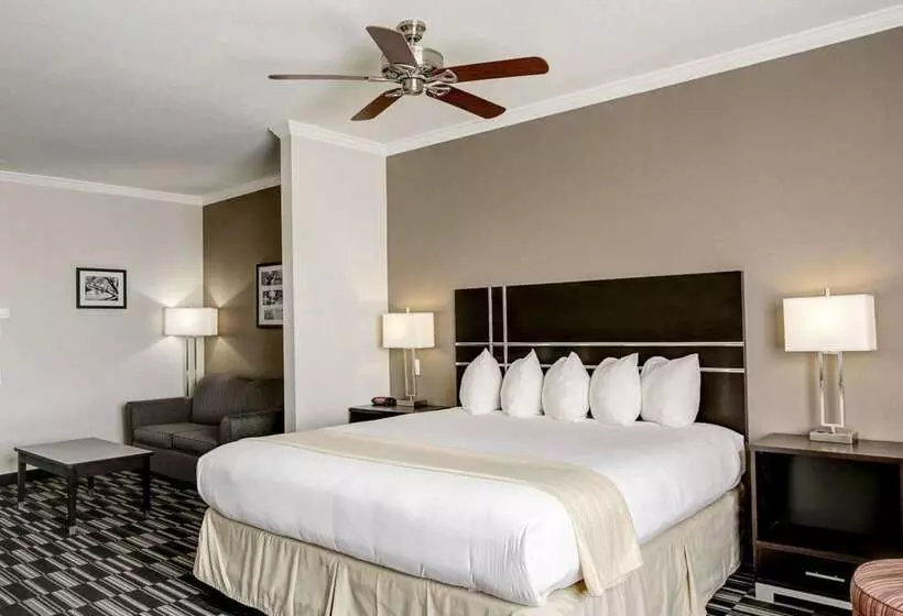 酒店 Quality Inn & Suites Bryan College Station