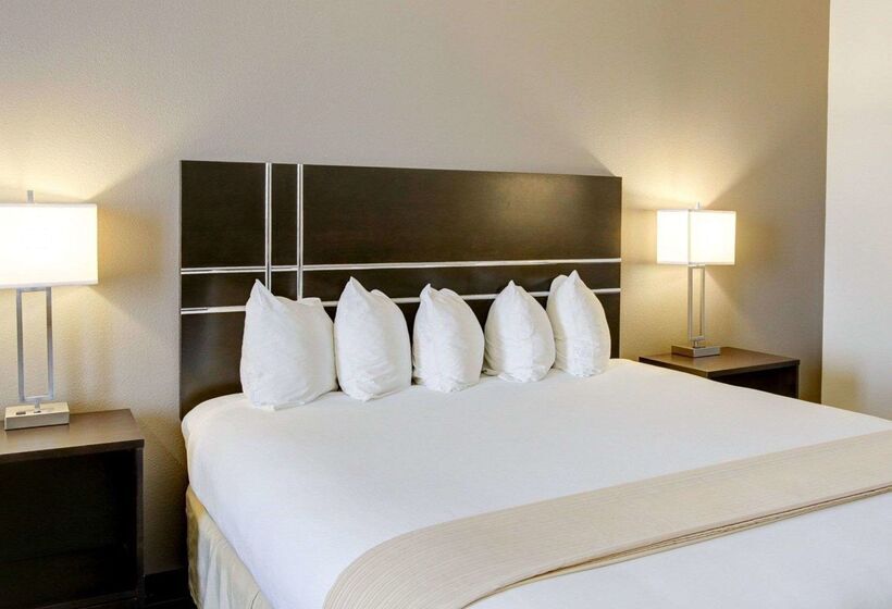 酒店 Quality Inn & Suites Bryan College Station