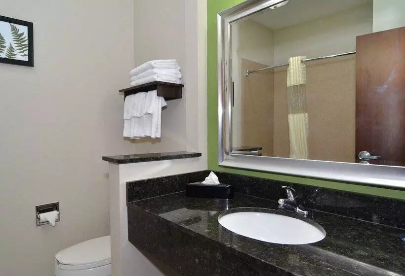 酒店 Quality Inn & Suites Kenedy Karnes City