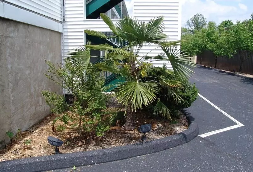 ホテル Super 8 By Wyndham Branson Shepherd Of The Hills Exwy