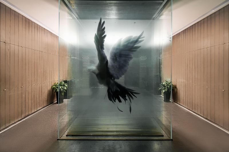 酒店 Indigo Jiuzhai, An Ihg